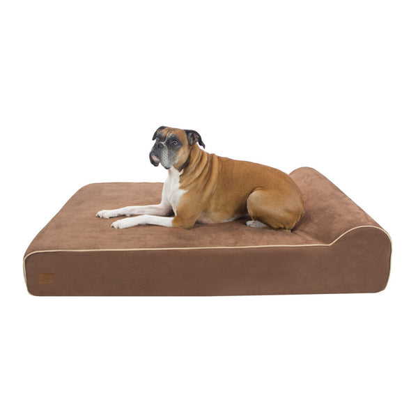 Large bed with dog