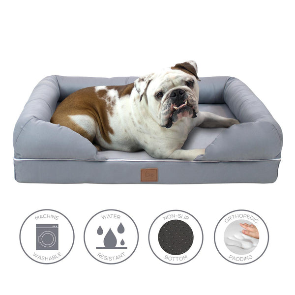 dog lounging in FrontPet Lux Memory Foam Dog Bed