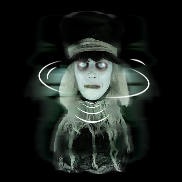 Animatronic Spinning Severed Head - Sound and Touch Activated Halloween Decoration Lighted Eyes