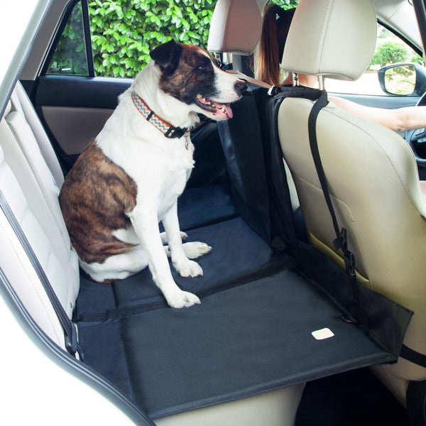 Side view of backseat pet bridge set up in car with dog sitting on top