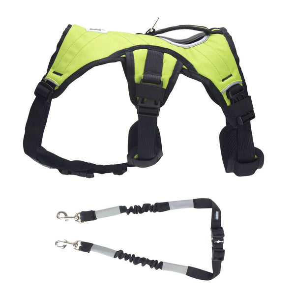 Side view of green dog training harness and dog pulling leash