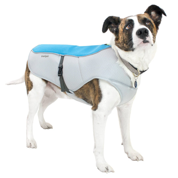 Dog wearing FrontPet Dog Cooling Vest with Adjustable Side Straps and Highly Visible Reflective Padding