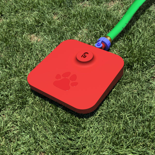 Dog water fountain with hose attached sitting on a lawn