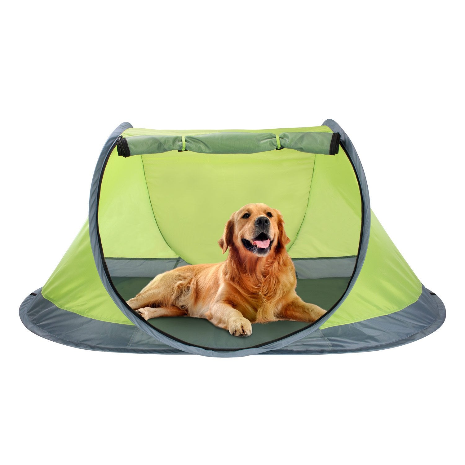 Pop-up Pet Tent Camping or Beach Foam Sleeping Pad