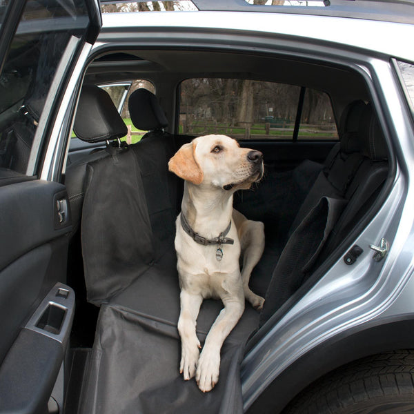 Dog sitting on pet bridge with door open exposing the inside of the vehicle