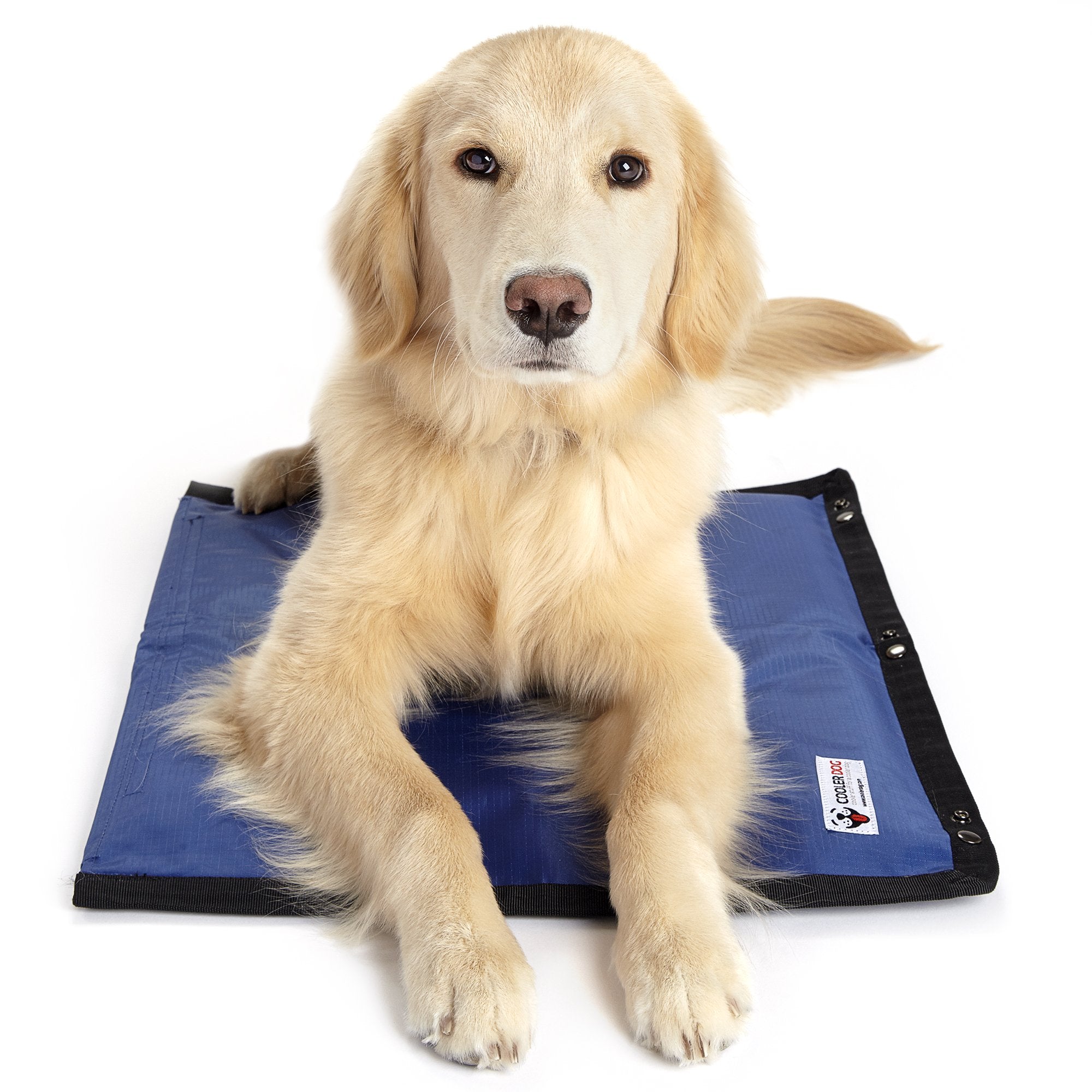 Pet top gel mat