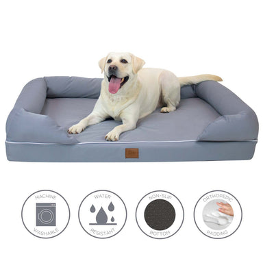 XL bed with dog and feature bubbles